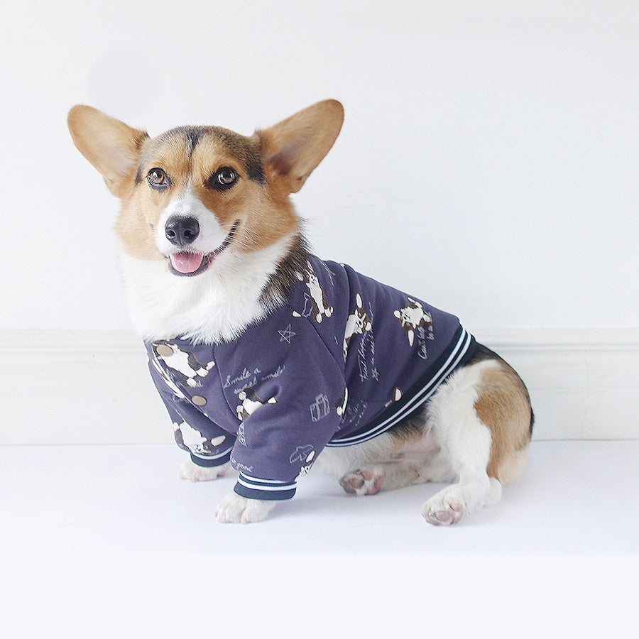 Dog clothes winter - Your Shopify