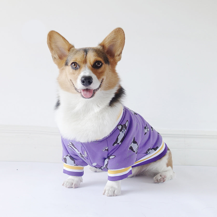 Dog clothes winter - Your Shopify