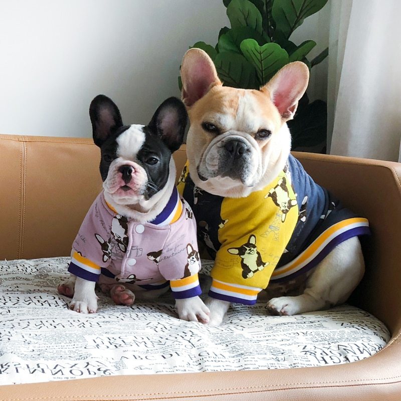 Dog clothes winter - Your Shopify
