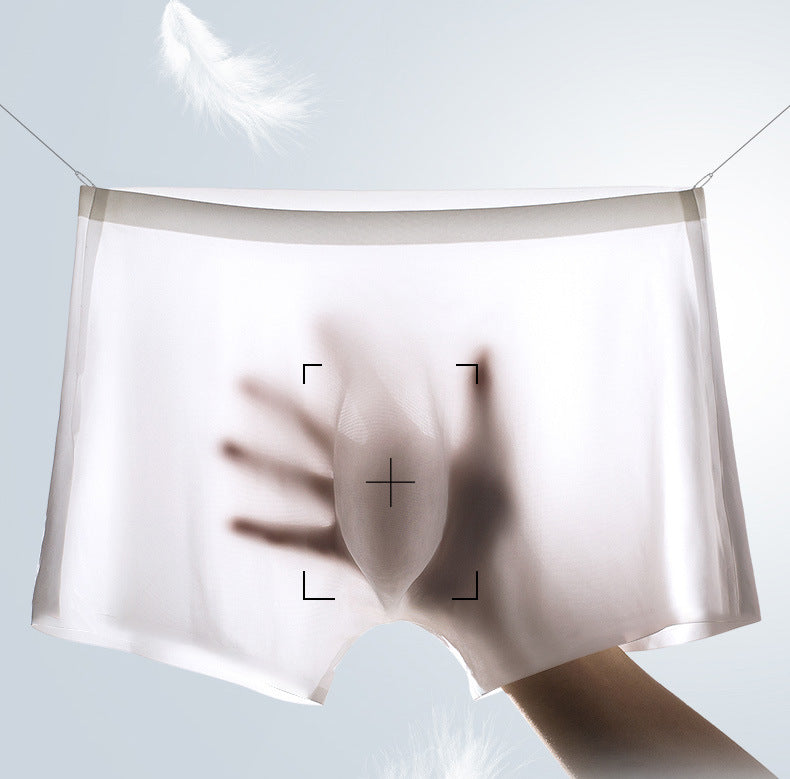 Mens Boxers Shorts Ice Silk Men Panties Seamless Sexy Underwear Man Underpants Pants Male Sexy Briefs Boxershorts Men - Your Shopify