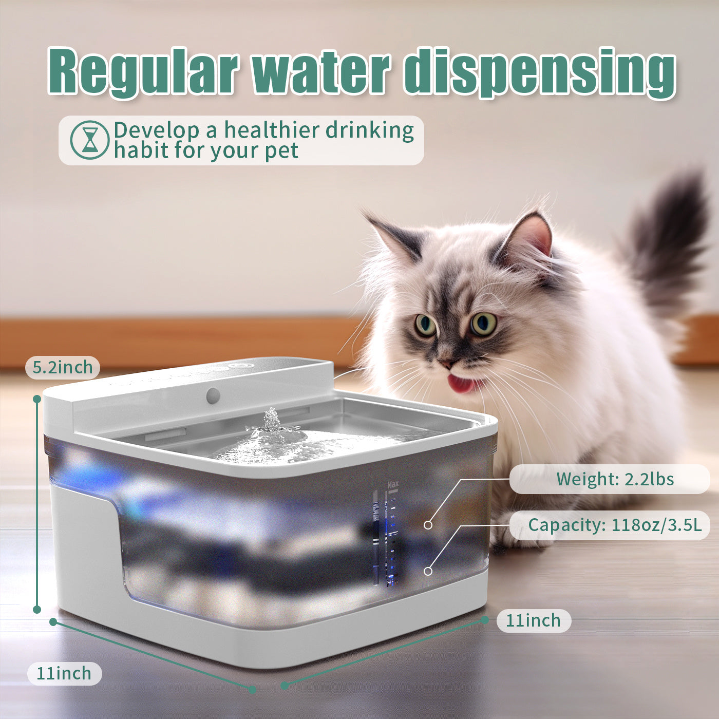 Pet Water Dispenser - Your Shopify